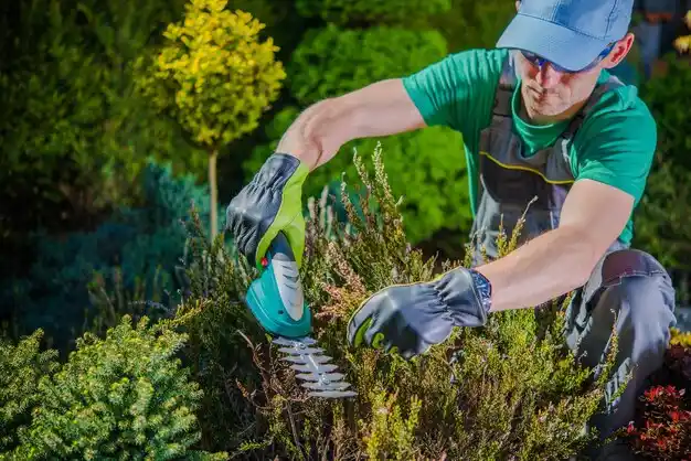 landscaping services Dunkirk
